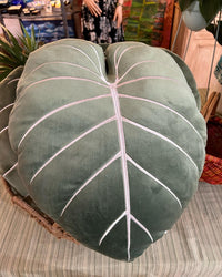 Philodendron Gloriosum Plush Pillow